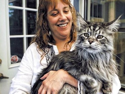 Legfelső háziállat fénykép, legjobb állati Guinness Rekordok Könyvébe, Kutyák Macskák Lovak