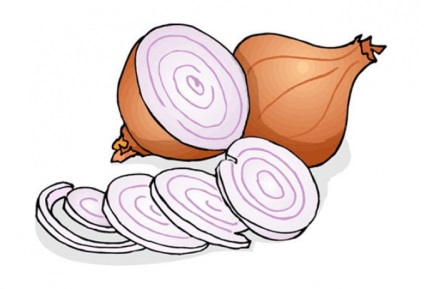 Állati mesék gyerekeknek képekkel (gyermek) Állati mesék gyerekeknek képekkel