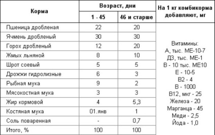 Mennyit kell adsz egy broiler (csirke) Mennyit kell adsz egy brojler