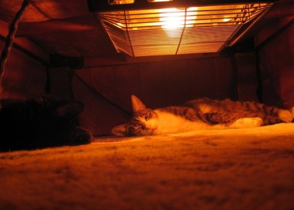 Melegíti japán meleg kotatsu táblázat (kotatsu) Felmelegszik japán meleg asztal kotatsu