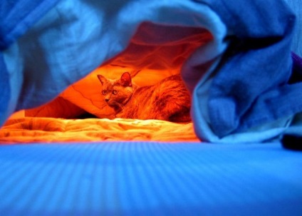 Melegíti japán meleg kotatsu táblázat (asztal) Felmelegszik japán meleg asztal kotatsu
