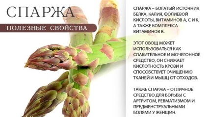 Asparagus előnyös tulajdonságait zöld, szója, ecetes