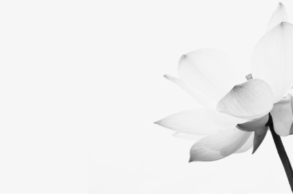 Gondozási eszközök kenzoki (Lotus BELLE JOUR) Gondozási eszközök kenzoki