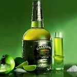 Tequila - ismeri a legendás mexikói szeszesital