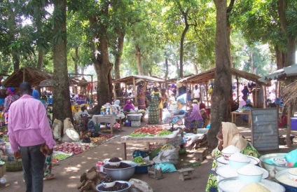 Togo (ország) tőke, leírás, népesség, a kód