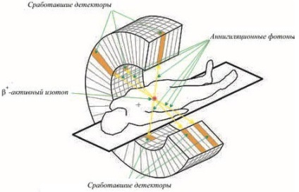 Imaging az orvostudományban (gyógyszer) Imaging in Medicine
