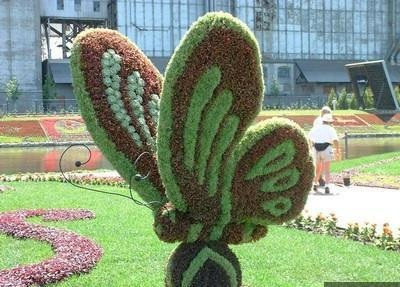Iskusstvo- műkertészeti formájú virágok és növények