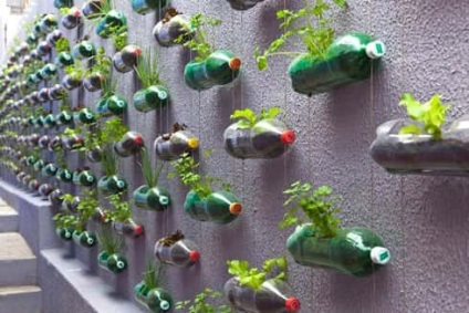 Dísztárgyak műanyag palackok kerttervezés (fotó)