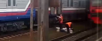 Megtudtuk, hogy már ott nőtt a kertben (Petrozavodszk) Megtudtuk, hogy már ott nőtt a kertben