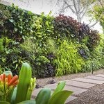 Függőleges kertészeti kezeddel (50 fotó) kerítés az országban élő fal a belső növény (fotó) Függőleges kertészeti kezeddel (50 fotó) kerítés az országban élő fal a belső növények