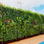 Függőleges kertészeti kezeddel (50 fotó) kerítés az országban élő fal a belső növények