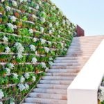Függőleges kertészeti kezeddel (50 fotó) kerítés az országban élő fal a belső növények