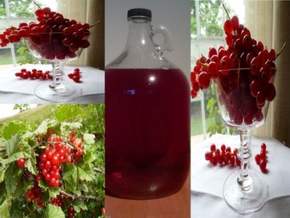 Bor ribizli az otthon egy egyszerű recept (otthon) Bor ribizli az otthoni egyszerű recept