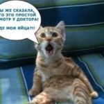 Vírusos hozzászólások, szavazások, képek, fotók (szavazás) Vírusos hozzászólások, szavazások, képek, fotók