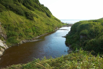 A vizes élőhelyek (földek) A vizes élőhelyek
