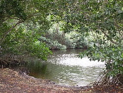 A vizes élőhelyek - a (vizes élőhelyek) A vizes élőhelyek - az
