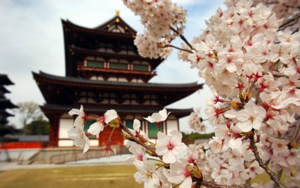Japánban egyedül - utazás egy mese (Japán) Japánban egyedül - utazás egy mese