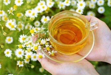 Az epe teák, rózsa tea előnyeit, tulajdonságait és ellenjavallatok recepteket gyógynövények