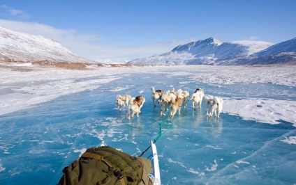 10 dolog, amit nem tud a grönlandi (Grönland) 10 dolog, amit nem tud Greenland