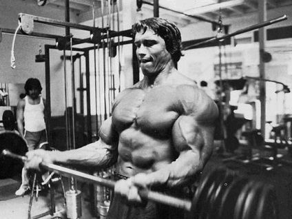 10 érdekes tény az Arnold Schwarzenegger - faktrum