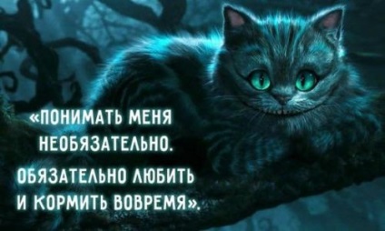 28 bölcsességek Cheshire Cat, pszichológia kapcsolatok () 28 bölcsességek Cheshire Cat, pszichológiai összefüggések