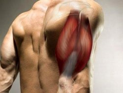 7. Alapvető tippek izomtömeg - fitness - férfi életét (tömeg) 7. Alapvető tippek izomtömeg - fitness - férfi életét