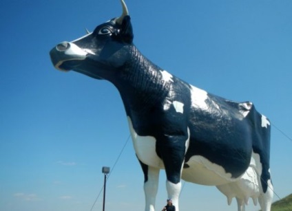 Mezőgazdasági art műemlékek tehén (szarvasmarha) Mezőgazdasági art műemlékek tehenek