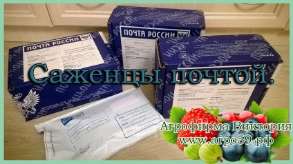 Victoria palánták Agrofirma mail (mezőgazdasági cég Victoria katalógus) Victoria palánták Agrofirma mail