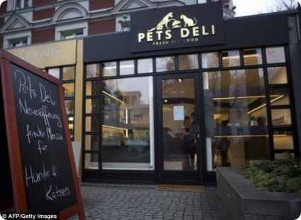 Berlin étterem kutyák és macskák