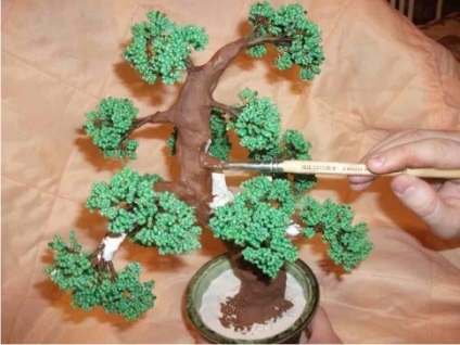 Bonsai kezük 1 (bonsai kezüket) Bonsai kezüket 1