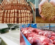 Testvér, barát és Shtrafbat milyen üzleti családok Aleksandra Tkacheva, hírek (büntető zászlóalj) Testvér, barát és Shtrafbat milyen üzleti családok Aleksandra Tkacheva, hírek