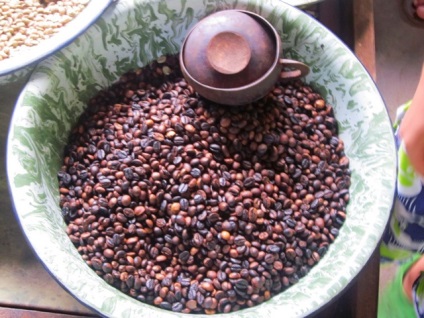 A legdrágább kávé a világon az aknák alom Luwak (a legjobb kávé Vietnam) A legdrágább kávé a világon az aknák alom lyuvak