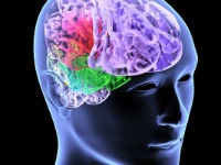 Angiodystonia agyi (agyi erek), azaz a jelek