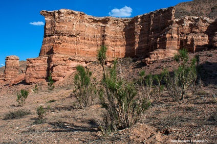 Charyn Canyon, 50 kép