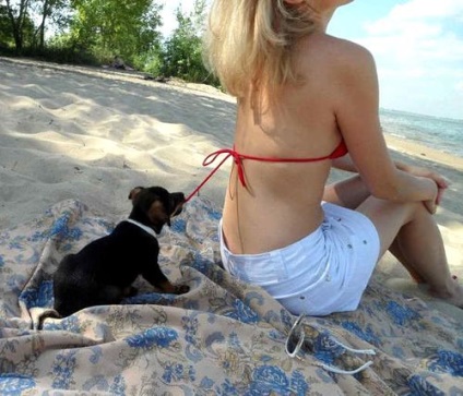 Mi nem látni a strandon (a strand) Amit nem látni a strandon