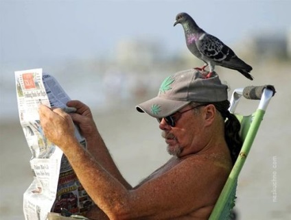 Mit láttál a strandon nem (csak) Amit nem látni a strandon