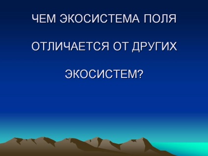 A mező ökoszisztéma eltér más ökoszisztémákat - a kép 14471-21