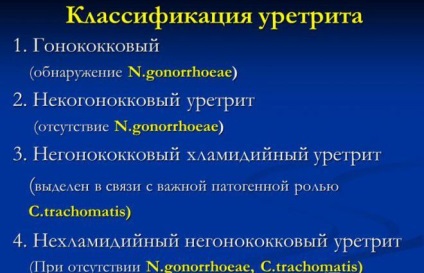 Mi különbözteti meg a Mycoplasma hominis és genitalium (genitalium) Mi a különbség a Mycoplasma hominis és genitalium