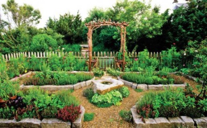 Dekoratív kerti -, hogyan lehet a növényi ágyak a kertben