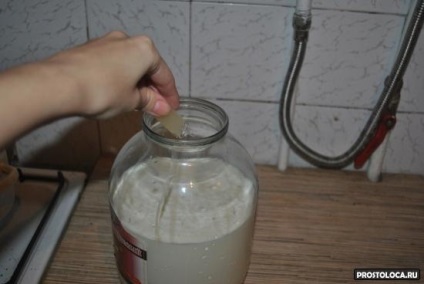 Főoldal starter - recept (recept) Főoldal starter - recept