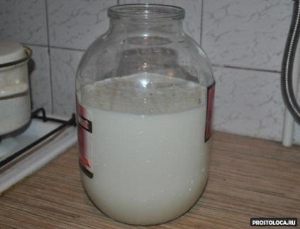 Főoldal starter - recept (starter) Főoldal starter - recept
