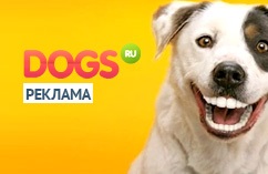 Csengő a kutyák számára (ajtó) Csengő kutyáknak