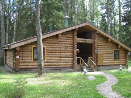 A környezetbarát fa regények (regény) Eco Hotel Romanov Les