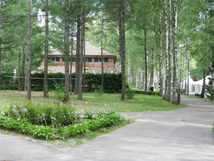 A környezetbarát fa regények (regény) Eco Hotel Romanov Les