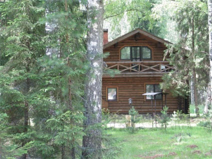 A környezetbarát fa regények (regény) Eco Hotel Romanov Les