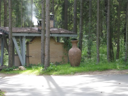 A környezetbarát fa regények (regény) Eco Hotel Romanov Les
