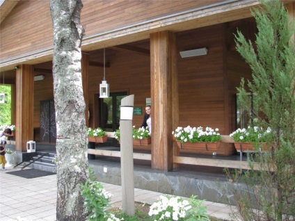 A környezetbarát fa regények (regény) Eco Hotel Romanov Les