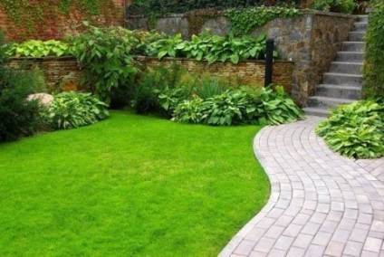 Lawn angol újságok eljárás termelők (termelők) Lawn újságok módszer angol kertészek