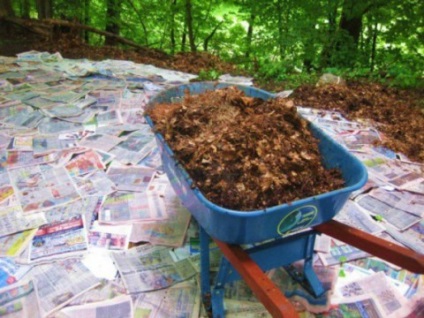 Lawn újságok módszer angol kertészek (növény a helyszínen) Lawn újságok módszer angol kertészek