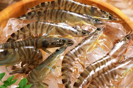 Főzés garnéla (előállítására) Főzés garnéla